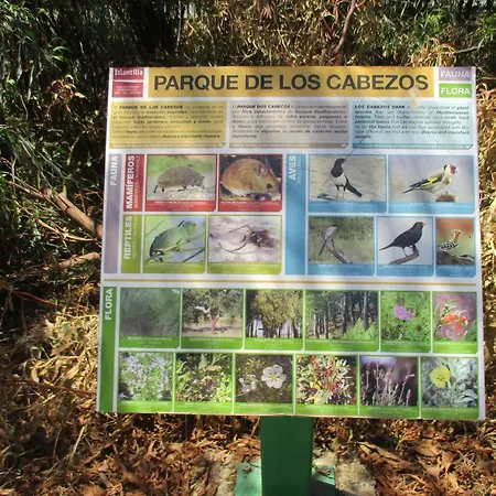 Palo Verde 103 * איסלנטייה